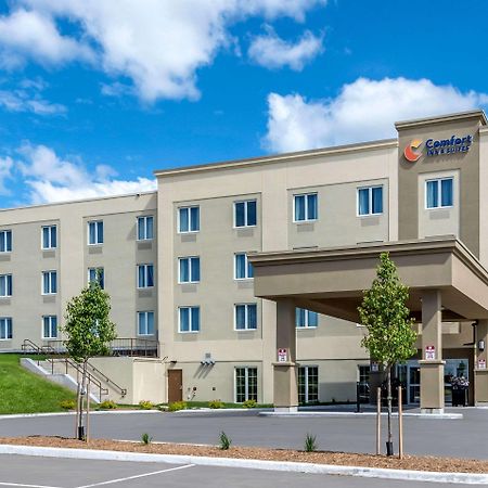 Comfort Inn & Suites Greater Napanee Exteriör bild